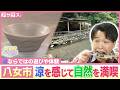 標高640メートル涼を感じて自然を満喫～杣の里渓流公園　八女市矢部村【アサデス。】【トレンドふくおか】