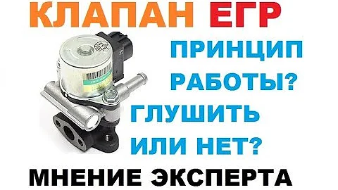 Клапан ЕГР! Принцип работы. Глушить или нет?!