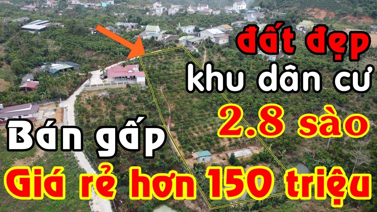 Bán gấp 2.8 sào đất vườn ngay khu dân cư tp Bảo Lộc, chủ nhà cần tiền bán giá rẻ giảm thêm 150 triệu
