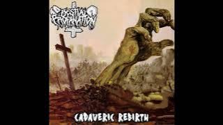 Bestial Profanation - Cadaveric Rebirth (Full Album 2025)