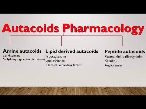 Video: Hvad er typerne af autacoider?