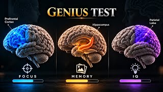 99% fail 😞 - Can You Pass This Brain Challenge | Focus, Memory & IQ Test Guide