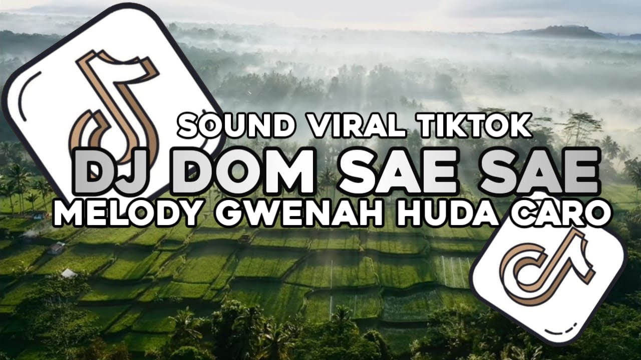 DOM SAE SAE MELODY GWENAH HUDACARO MELODY KANE TIKTOK 2025 SOUND CARO