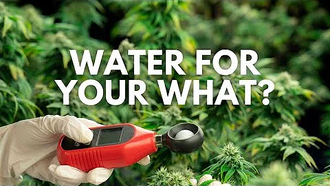 Why These Growers NEEDED Water Filtration.