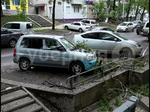 Оттереть тополь с машины