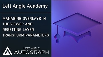 Managing Overlays in the Viewer and Resetting Layer Transform Parameters