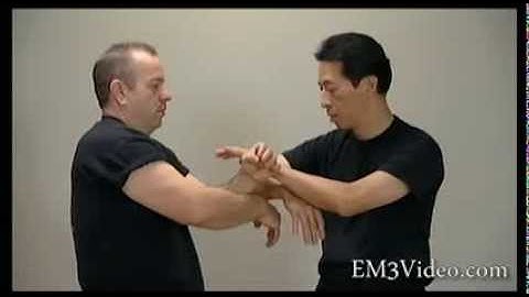 Wing Chun Vol 2 CHUM KIU DVD series by Samuel Kwok