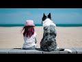 Sesión de fotos de mascotas - El fotógrafo de tu mascota