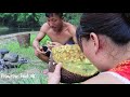 Primitive life: Catch fish by hand and cooking fish with jackfruit - Fish recipes eating delicious