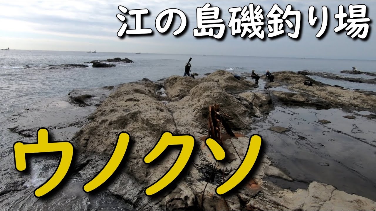 神奈川磯釣り場 江ノ島 表磯 ウノクソ 駐車場 ルアー ショアジギング カゴ釣り カワハギ クロダイ メジナ 青物 エギング アオリイカ フカセ釣り MANCING MANIA JAPAN