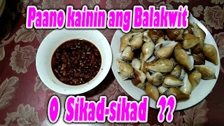Paano magluto ng Steamed Balakwit or Sikad-sikad |A kind of seashell |  Paano kainin ang balakwit?