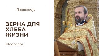 видео: Притча о сеятеле. Проповедь протоиерея Александра Сорокина картинка: Притча о сеятеле. Проповедь протоиерея Александра Сорокина