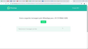 Envio de WhatsApp com Excel e VBA