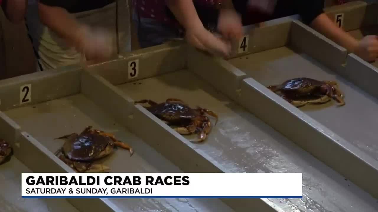 Garibaldi Crab Races return for 35th year YouTube