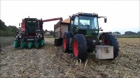 Harvesting Corn | Case Axial Flow 1620 | Fendt Xylon 522 | mais dorsen