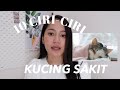 Tanda-Tanda Kucing Sakit: Kenali Gejala Sejak Dini