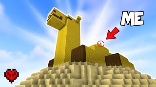I Built Minecraft's Largest BAMBOO CAMEL