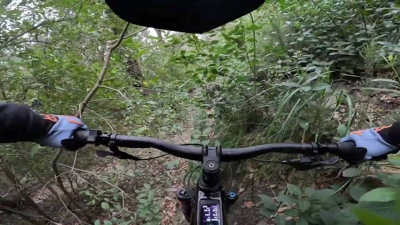 Intentando abrir un nuevo Track 