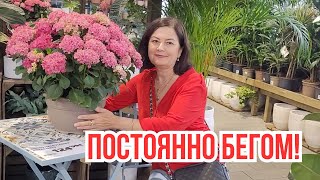 Заехали НЕ Туда / Везде ОПОЗДАЛИ / Визит  к Косметологу  #vlog