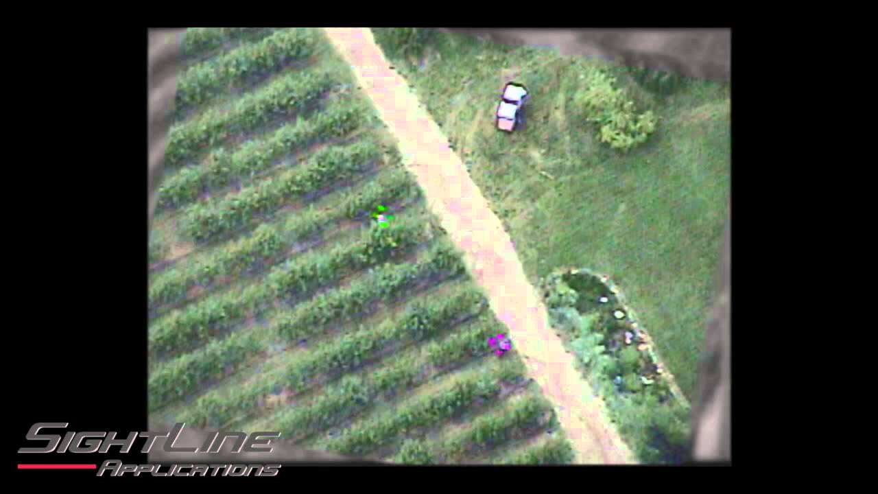 Moving Object Detection - Orchard