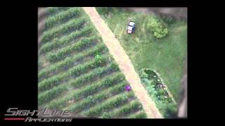 Moving Object Detection - Orchard