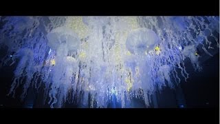 Wedding Cuong&Mi Party Movie Main