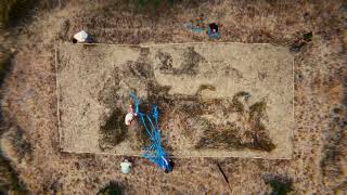 Fragment #79 - CulturalxCollabs - Weaving the Future