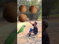 Rounding coconuts to Duck, Peacock, Pigeon &amp; Parrot - Birds names magic video#foryou#plzsupport