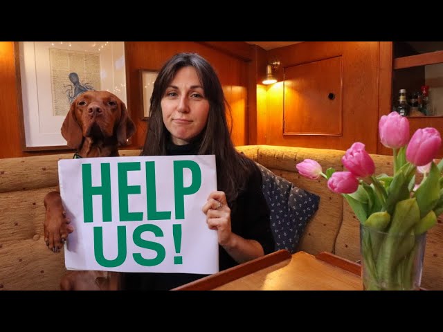 We Need Help! – (Reverse Q&A)