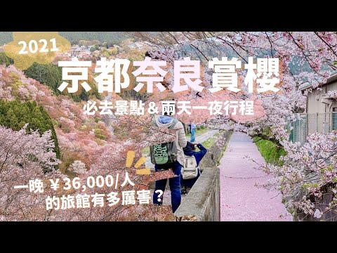 京都奈良兩天一夜賞櫻行程！必去哲學之道、吉野山｜開箱一晚 ¥72,000 旅館房間(汗)