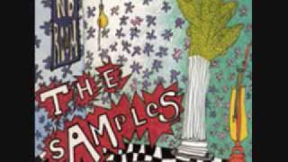 Video thumbnail of "The Samples Taking Us Home"