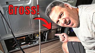 How To Clean Samsung Refrigerator Condenser Coils #shorts