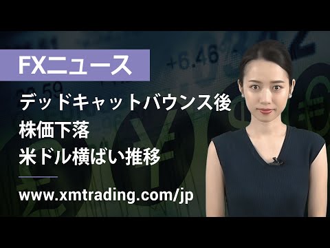 FXニュース 2022年05月19日 デッドキャットバウンス後、株価下落、米ドル横ばい推移