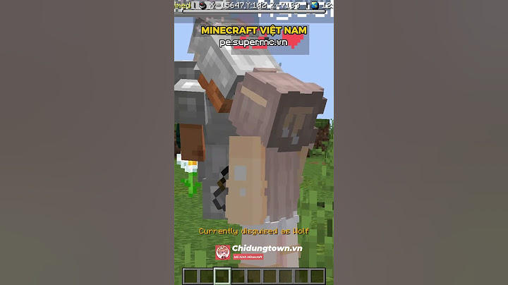Minecraft bạn nữ này thật kì lạ #lychidung #minecraft