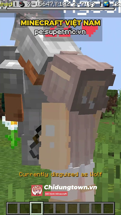 Minecraft bạn nữ này thật kì lạ #lychidung #minecraft