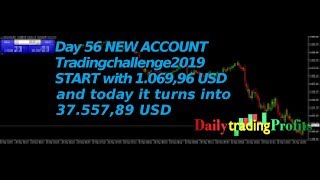 #56 tradingchallenge2019 I turned 1.069,96 USD into 37.557,89 USD