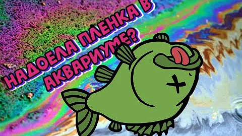 РАСТИТЕЛЬНЫЙ АКВАРИУМ ПРИЧИНЫ ПОЯВЛЕНИЯ И УДАЛЕНИЕ ПЛЁНКИ С ПОВЕРХНОСТИ ВОДЫ