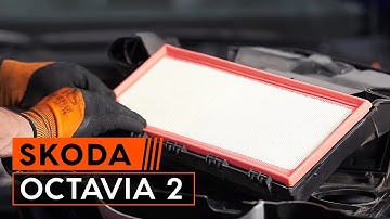 Handleiding: Hoe een luchtfilter motor vervangen op een SKODA OCTAVIA 2 (1Z3)