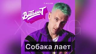 T-killah — Собака лает (Премьера песни, 2020)