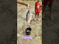Serok ikan hias warna-warni, ikan koi, ikan mas koki lucu, ikan komet ,ikan gurami, kura-kura brazil