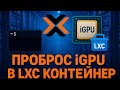 Как пробросить iGPU в непривилегированный LXC в Proxmox | Аппаратное ускорение в контейнере