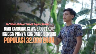 Usia 26 Tahun Sukses Ternak Ayam Broiler 32000 Ekor, Dari Kandang Sewa Sampai Punya Sendiri