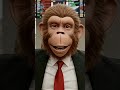 CEO Monkey Became Rich to Help Village 🐒❤ Dubai Success Story