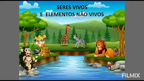 Como os componentes vivos e Não-vivos se relacionam entre si?