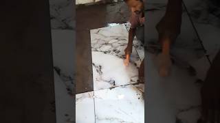 Dur tum #shortsfeed #youtubeshorts #charttopper #popularsongt #tiles flooring work