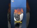 خليك بقى واقفه مستنيه الاسانسير ينزلك ثاني