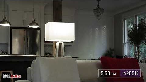 Follow the Sun Feature | Connected Max from Cree