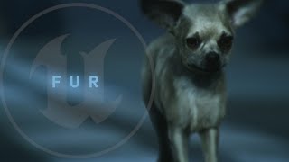 [New]  Animal Fur Groom for UnrealEngine 5