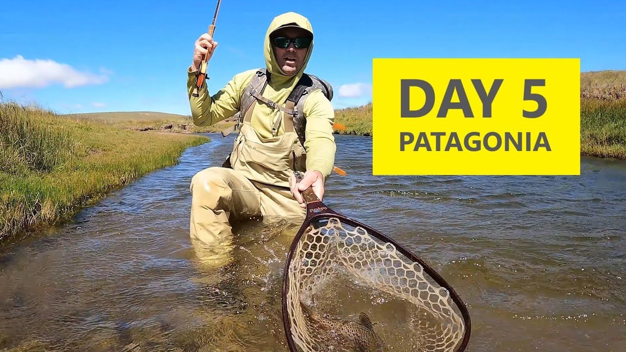 Spring Creek Dry Fly Action and Tips // Day 5 Patagonia Day-by-Day Series