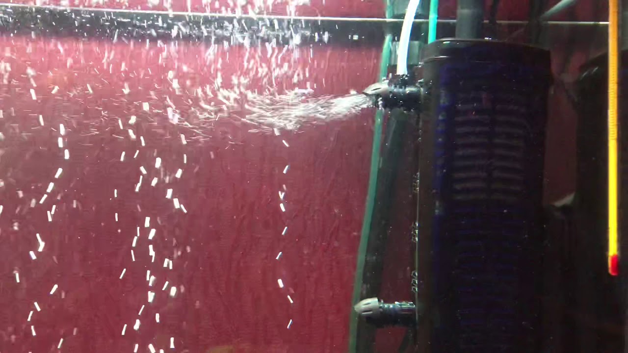 Внутренний фильтр Fluval U3 часть 2 YouTube